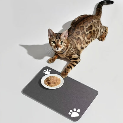 Swift-Dry Diatom Pet Mat