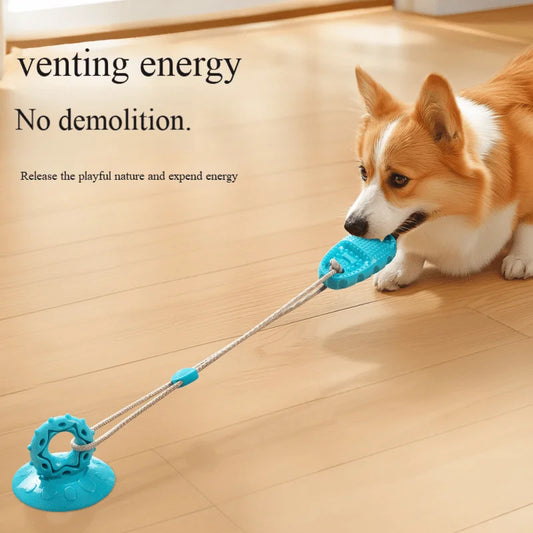 Suction Cup Slippers Ball Dog Resistant to Grinding Teeth Toys Self-Sex to Relieve Boredom of Physical Strength Pet Toys